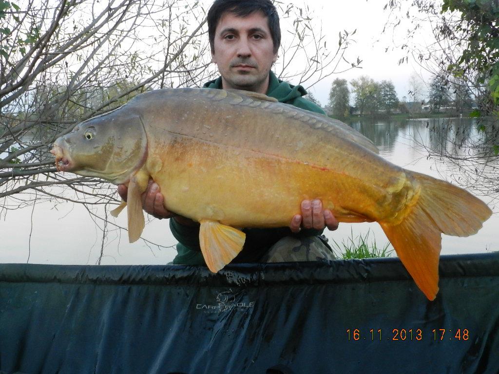 15 noiembrie 2013 - dscn1801.JPG